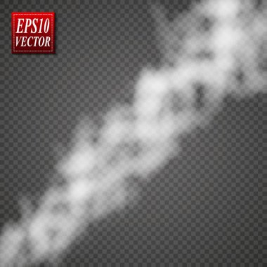 Sis ya da duman izole edilmiş şeffaf özel efekt. Beyaz vektör bulanıklığı, sis veya sis arkaplanı. Vektör illüstrasyonu