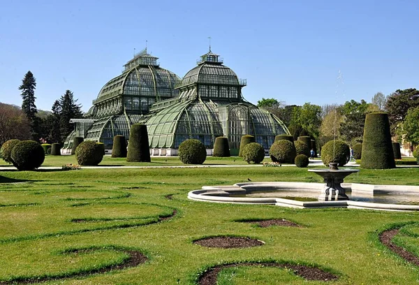 Tropical Greenhouse City Vienna Austria Europe — Stock Photo, Image