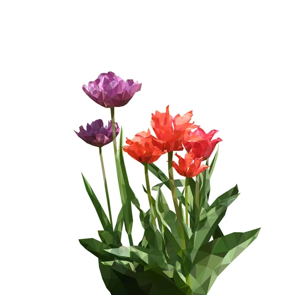 チューリップが三角測量された 花の花束紫赤 — ストックベクタ