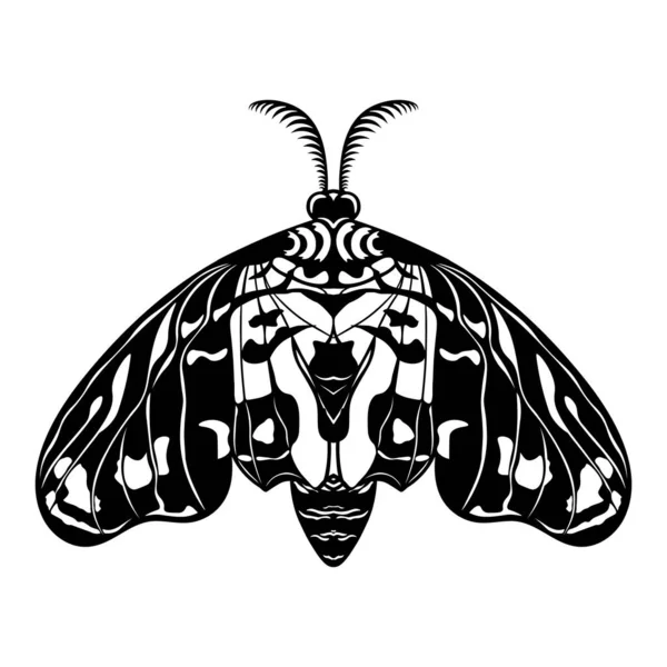 Corte Por Láser Tarjeta Vectorial Mariposa Negra Sobre Fondo Blanco — Archivo Imágenes Vectoriales