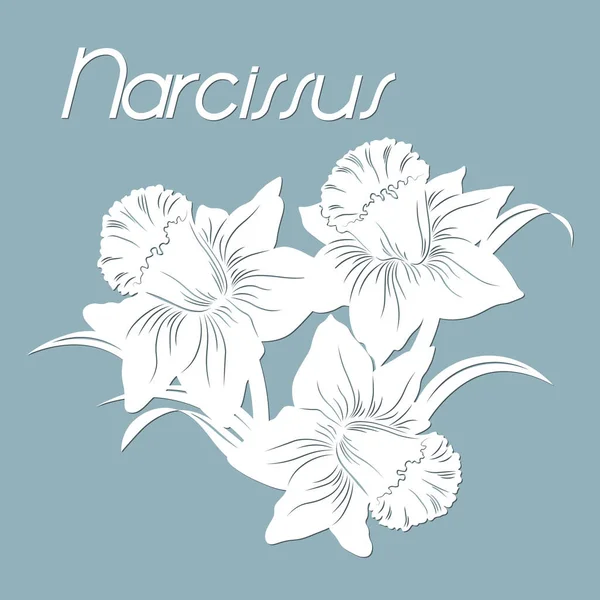 Narcissus Lazer Kesim Şablonu Kağıt Kesiği Baskı Vektör Çizimi Çerçeve — Stok Vektör