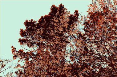 Orman vektörü arkaplan resimleme manzarası