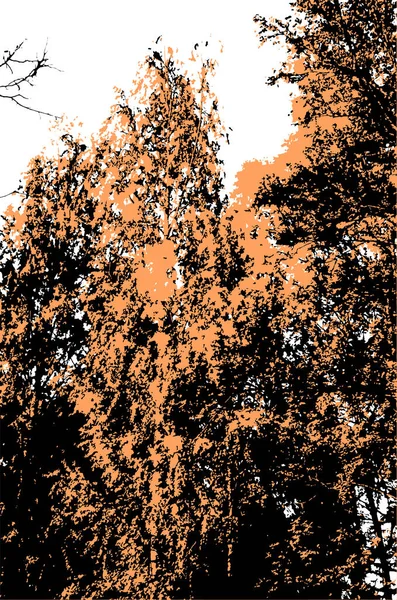 Wald Vektor Hintergrund Illustration Landschaft — Stockvektor