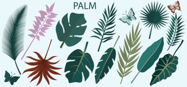 Tropikal yaprakların vektör kümesi. Lazer kesiği. Lazer kesme ve çizim şablonu. Vektör çizimi. Lazer kesim, serigrafi, çizici için desen