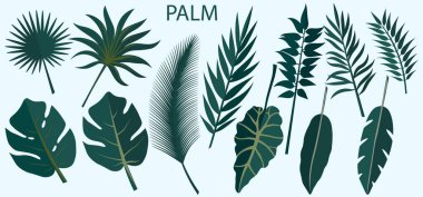 Tropikal yaprakların vektör kümesi. Lazer kesiği. Lazer kesme ve çizim şablonu. Vektör çizimi. Lazer kesim, serigrafi, çizici için desen