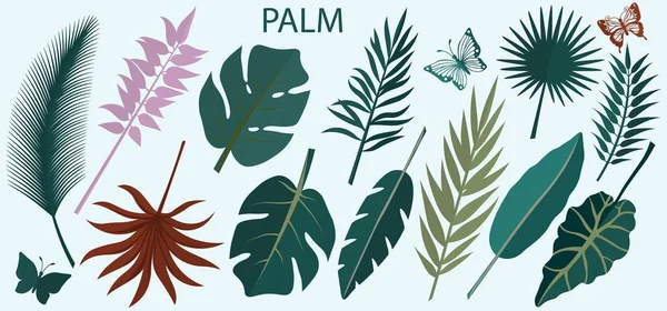 Tropikal yaprakların vektör kümesi. Lazer kesiği. Lazer kesme ve çizim şablonu. Vektör çizimi. Lazer kesim, serigrafi, çizici için desen