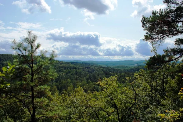 Panorama Lesa Létě — Stock fotografie
