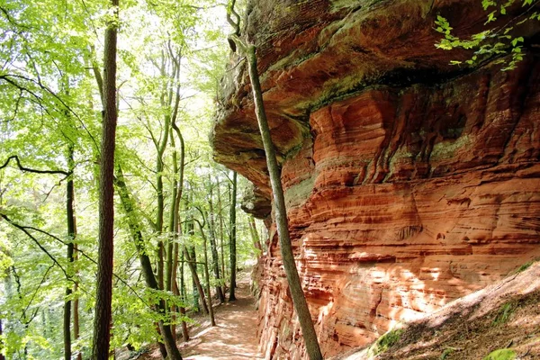 Coloridas Rocas Arenisca Bosque — Foto de Stock