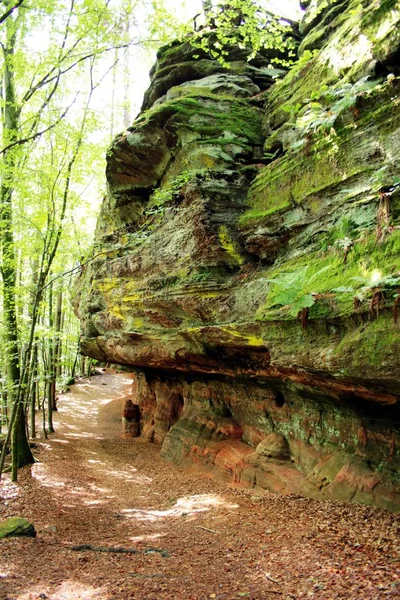 Coloridas Rocas Arenisca Bosque — Foto de Stock