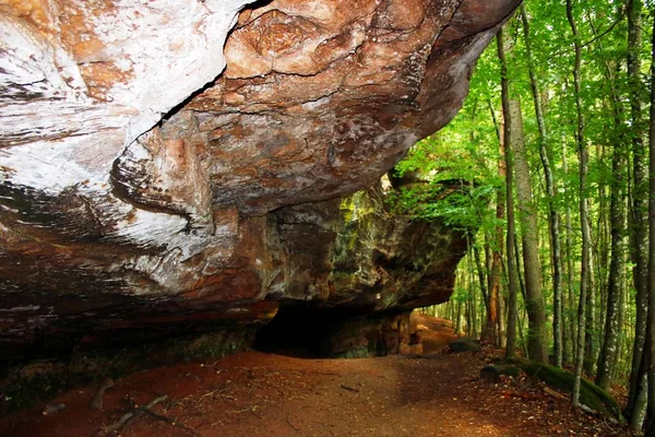 Coloridas Rocas Arenisca Bosque — Foto de Stock