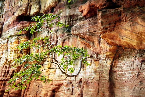 Coloridas Rocas Arenisca Bosque — Foto de Stock