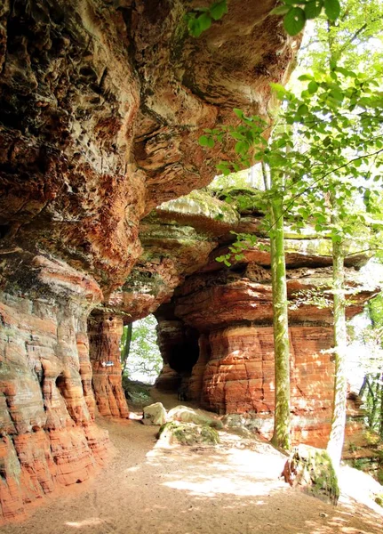 Coloridas Rocas Arenisca Bosque — Foto de Stock