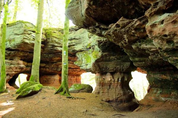 Coloridas Rocas Arenisca Bosque — Foto de Stock