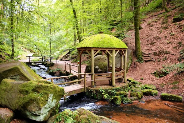Karlstal gorge Palatinate Forest