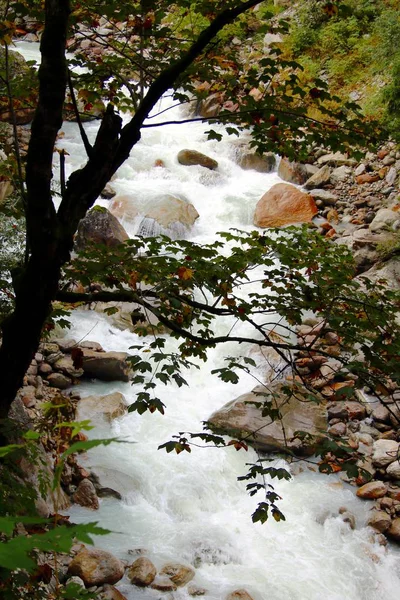 Rivière Sauvage Dans Les Montagnes — Photo