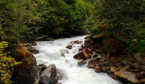 Rio Selvagem Nas Montanhas — Fotografia de Stock