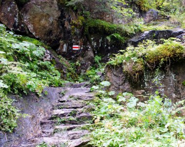 Maceralı dağ yürüyüşü patikası