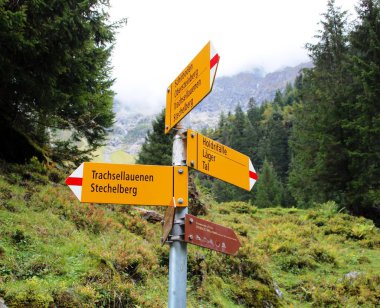 İsviçre dağlarında yürüyüş