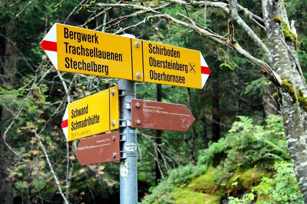 Wandern Den Schweizer Bergen — Stockfoto