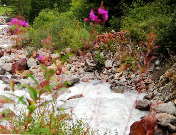 Wilde Rivier Bergen — Stockfoto