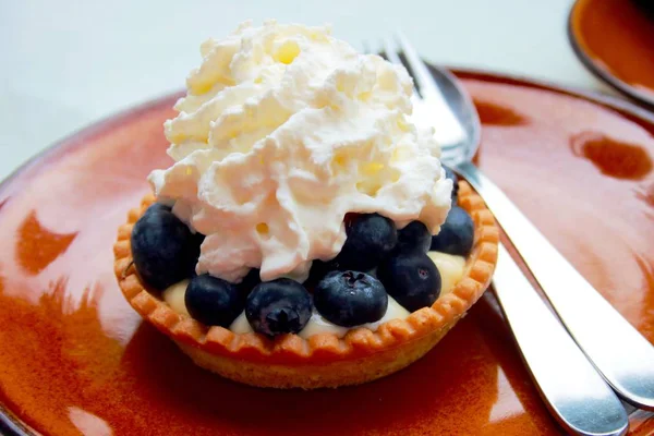 Tarta Blueberry Con Crema — Foto de Stock