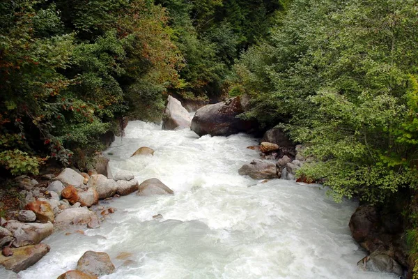 山の中の野生の川 — ストック写真