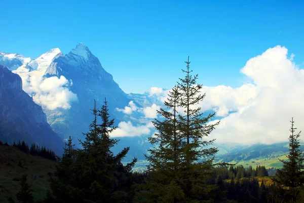 Grindelwald Daki Eiger — Stok fotoğraf