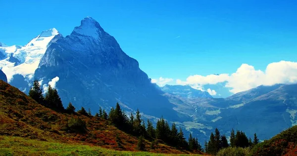 Eiger Grindelwald — Stockfoto