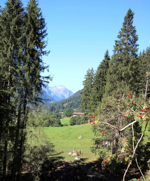 Krajobraz Górski Szwajcarii — Zdjęcie stockowe