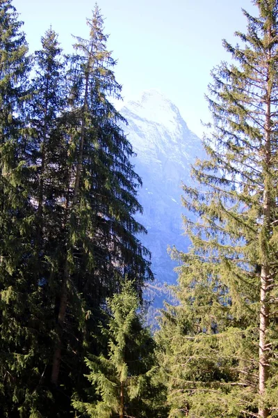 Paisaje Montaña Suiza — Foto de Stock