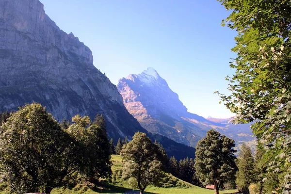 Eiger Grindelwaldzie — Zdjęcie stockowe