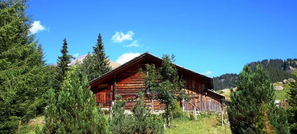 Hut Bergen — Stockfoto