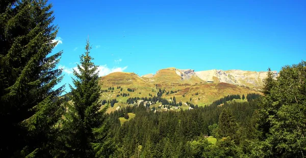 Paysage Montagne Suisse — Photo