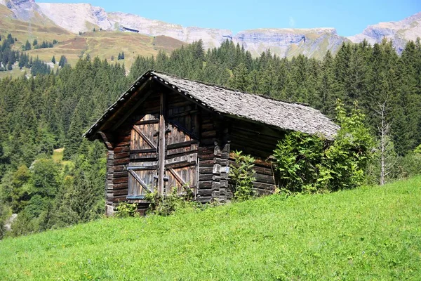 山の中の小屋 — ストック写真