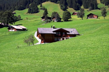 İsviçre dağlarındaki dağ kulübesi.