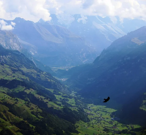 Paisaje Montaña Suiza — Foto de Stock