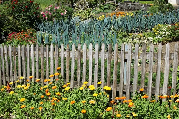 Mountain Farm Garden Summer Stock Image