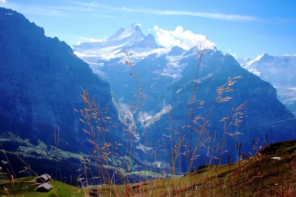 Bergslandskap Schweiz — Stockfoto