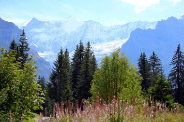 İsviçre 'deki dağ manzarası