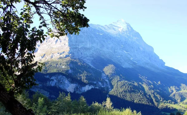 Der Eiger Grindelwald — Stockfoto