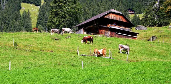 Górska Chata Szwajcarskich Górach — Zdjęcie stockowe