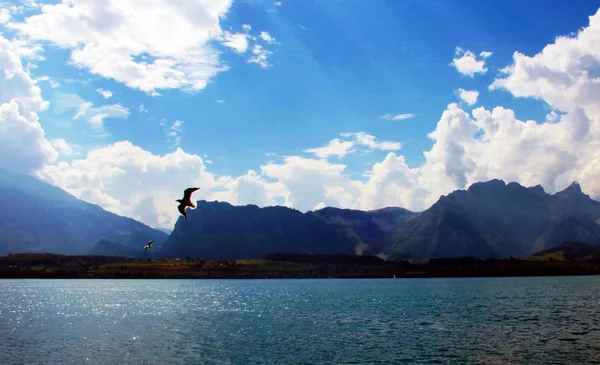 Vida Lago Thun — Foto de Stock