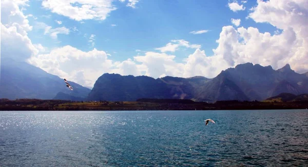 Vida Lago Thun — Foto de Stock