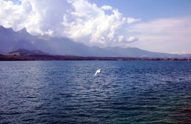 Thun Gölü 'nde hayat