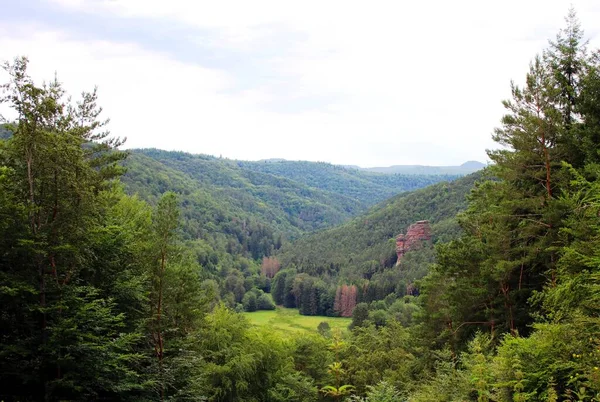 Rocce Buntsandstein Nella Foresta Palatinata — Foto Stock