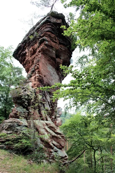 Rocas Buntsandstein Bosque Palatinado — Foto de Stock