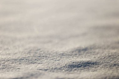 Beyaz kar yerde yatan fotoğrafı yakın çekim