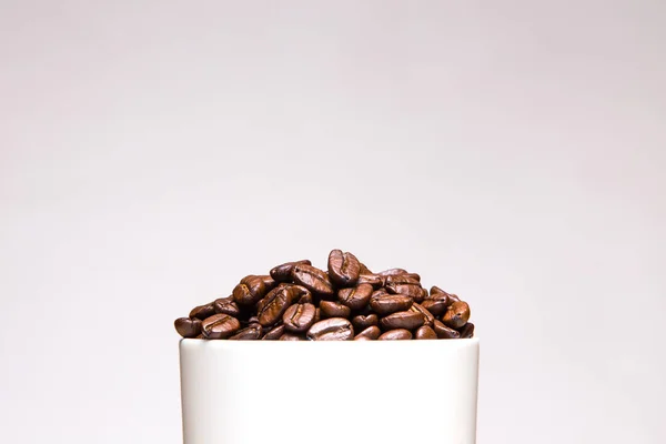 Coffee Beans White Cup Isolated Gray Background — Stock Photo, Image