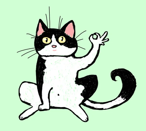 成功的黑白猫 — 图库照片