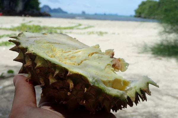 Durian sahilde kesmek